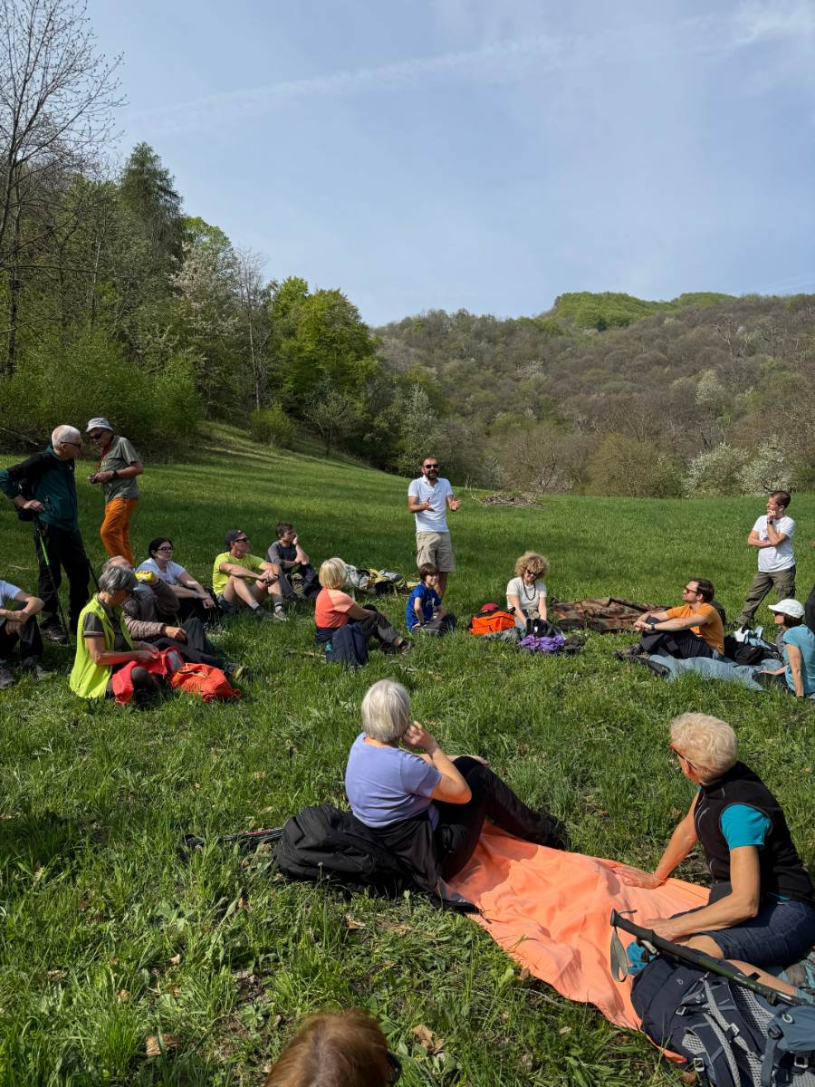 La Cura nello Sguardo